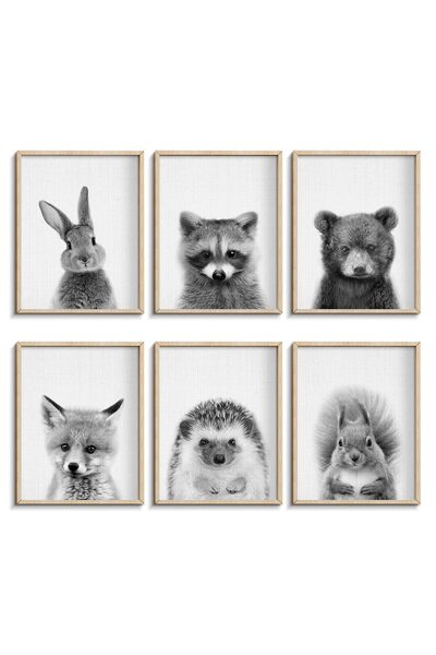 ALAYRA International ملصق