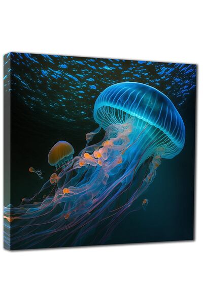 ALAYRA International ALAYRA BLUE RED CYAN Beach jellyfish - Seascape Picture ...