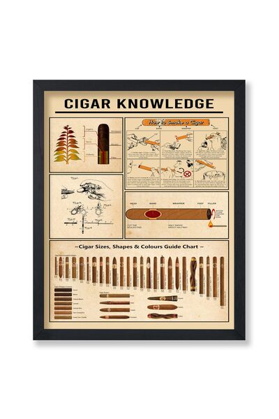 ALAYRA International ملصق ألايرا - دليل شامل لمعلومات السيجار - دليل مطبوع لأ...