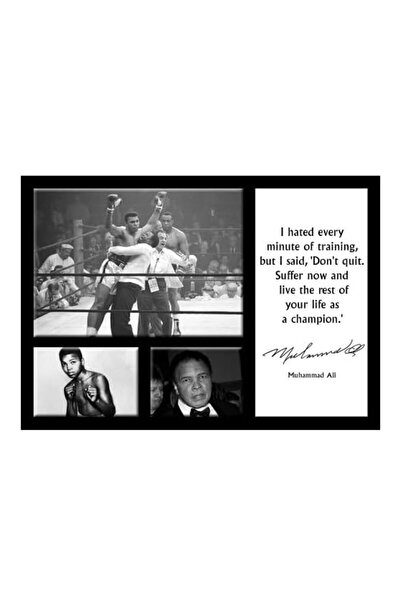 ALAYRA International عليرا محمد علي 2 - A4 - أسطورة الملاكمة - اقتباسات شهيرة...