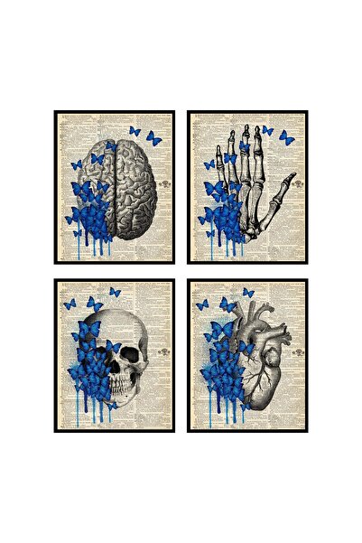 ALAYRA International ALAYRA Vintage Anatomy Posters, Anatomy Wall Art, Anatom...