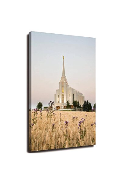 ALAYRA International لوحة جدارية مطبوعة على قماش مقاس 20 × 32 بوصة من ALAYRA،...