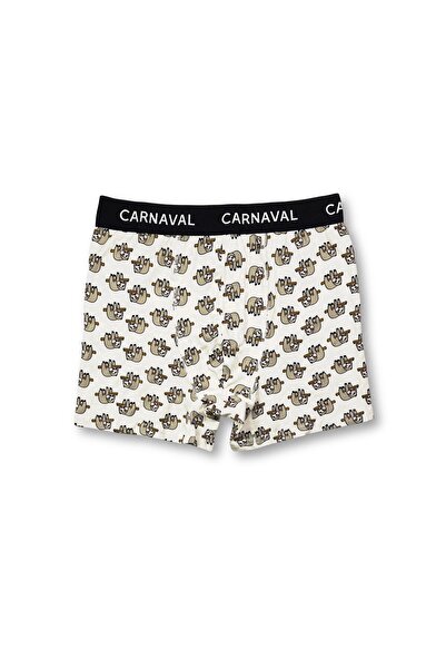 CARNAVAL SOCKS Carnaval Sloth Patterned Premium Cotton Men's Boxer - Cream Colored