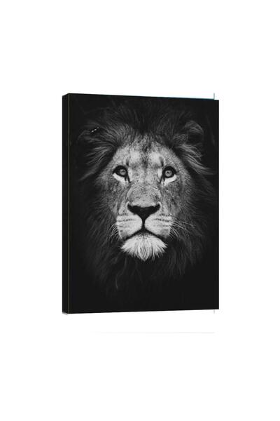 ALAYRA International ALAYRA -Abstract Posters Wall Art Black White Animal Lio...