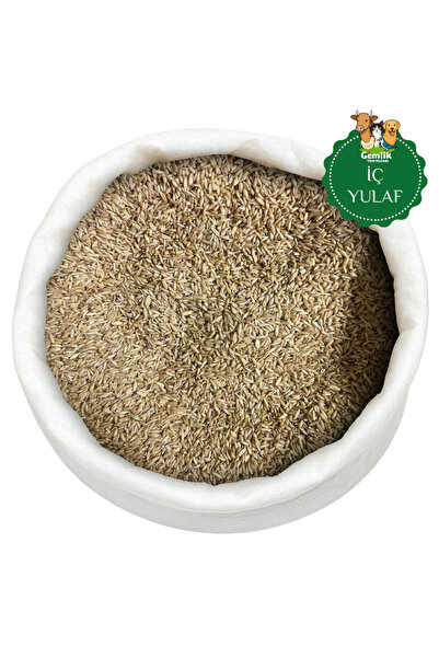 Gemlik Yem İç Yulaf Kuş Yemi 3 Kg – Kabuksuz Yulaf – Muhabbet, Kanarya ve Pap...