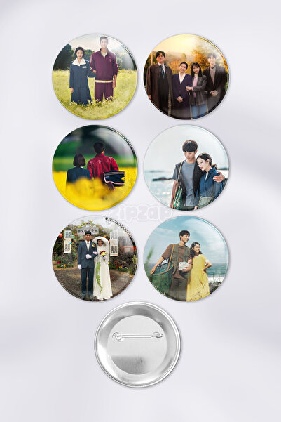 ZipZap When Life Gives You Tangerines K Drama Kdrama Set de insigne decorativ...