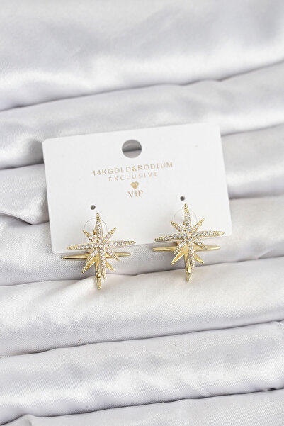 Lisinya Gold Color Brass Double Sided Pole Star Women's Earrings - Tygoo
