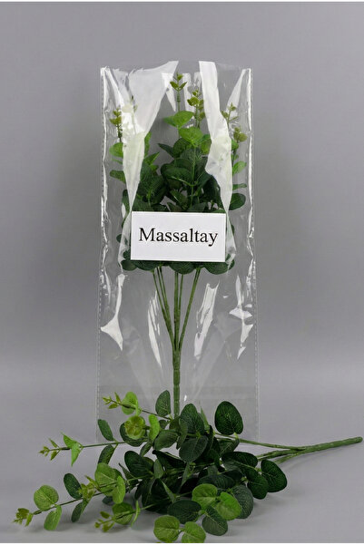 Massaltay Artificial Eucalyptus Long Branch – 16 Branches – Decorative Artifi...