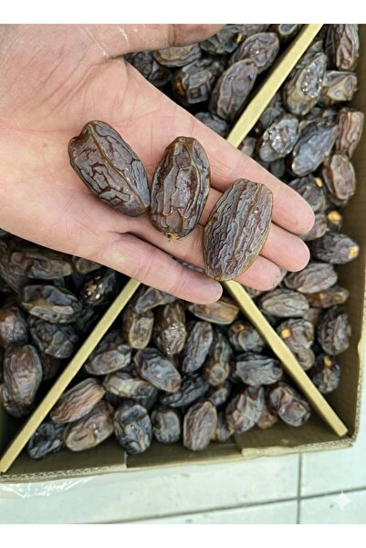 canceviz gıda Premium Kabuksuz Hurma 5kg (Yeni Mahsül)