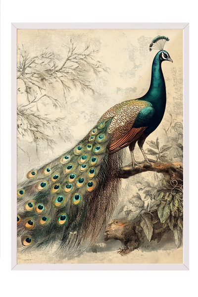 Zestia Ζωγραφική τοίχου με λευκό πλαίσιο, Διακόσμηση σαλονιού Noble Peacock