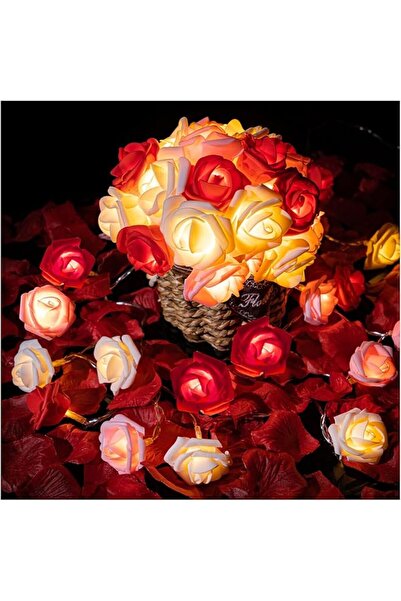 The Bros Rose Flower String Lights, 20 LED Battery Operated, 10Ft, Red/Pink/W...