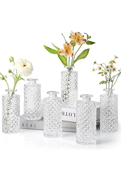 The Bros مجموعة من 6 مزهريات زجاجية صغيرة على شكل ماسة، شفافة