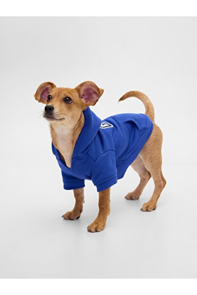 GAP Kadın Mavi Logo Köpek Kıyafeti