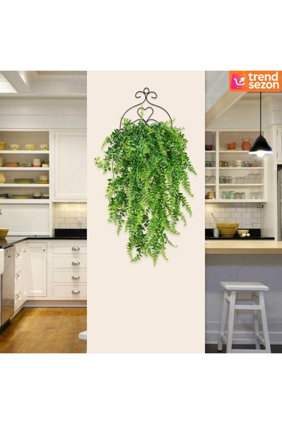 Teno Set de 2 plante de iederă