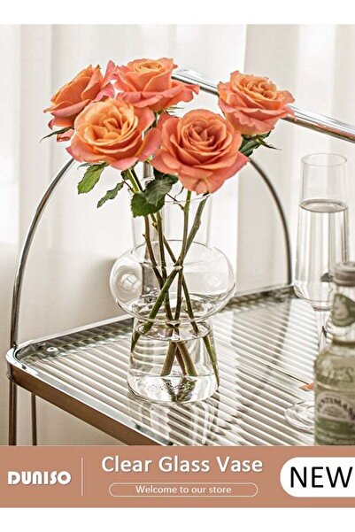 DOMEET مزهرية زجاجية شفافة إبداعية، مزهرية زهور صغيرة مزخرفة، نباتات مائية، مكتب