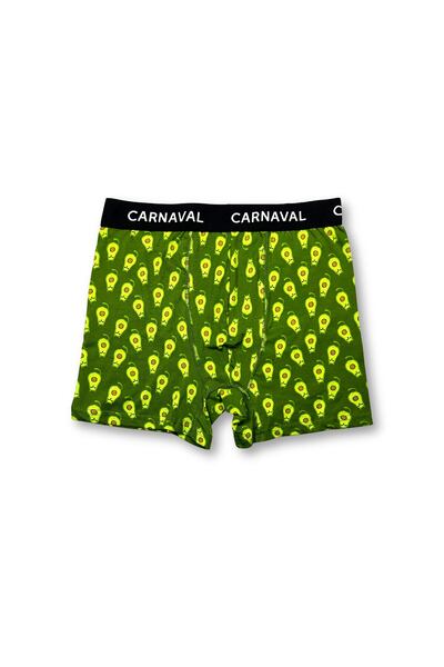 CARNAVAL SOCKS Carnaval Avocado Patterned Premium Cotton Men's Boxer - Green Color