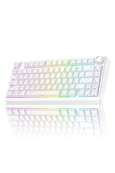 Aula F75 Mekanik RGB TKL Seiya Switch Kablosuz Makrolu Hot Swap Gaming Klavye Desenli Beyaz