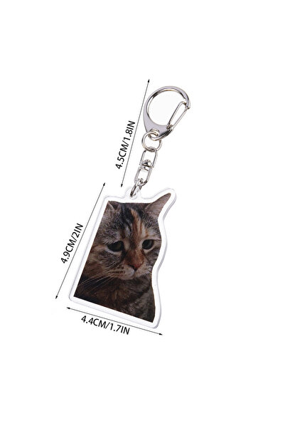 Choice style 4 Kawaii Adorable Cat Keychain Acrylic Animal Key Holder For Fri...