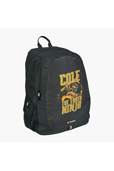 LEGO Ninjago Print Backpack with Adjustable Straps and Zip Closure - 47x38x24 cms