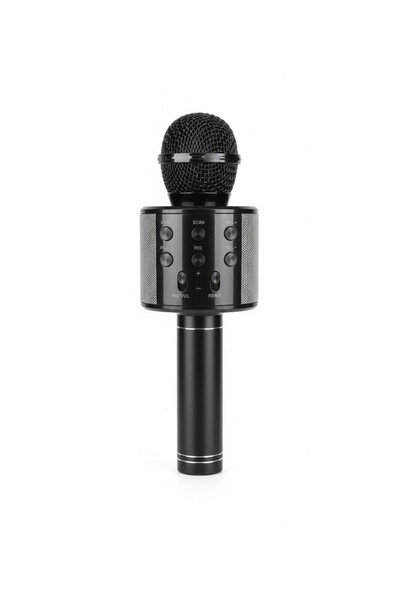 Paleon KARAOKE BLUETOOTH HAFIZA KARTLI USB AUX GİRİŞ DESTEKLİ HADİ SÖYLE MİKR...