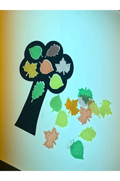 Eğitici Yaprak Eşleştirme Puzzle – 3D Baskı Sert Plastik Montessori Aktivite