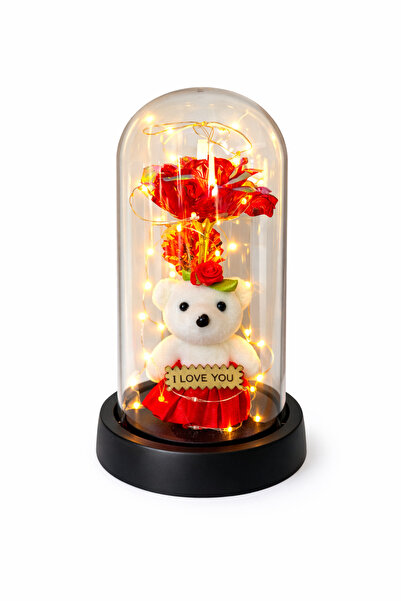 OEM Dome with Teddy Bear and Royal Red Rose, Romantic Decorative LED, 20x11 cm, No batteries included