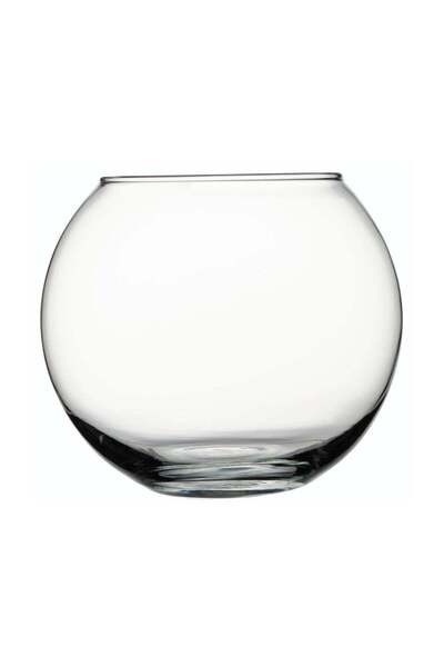 Pasabache مزهرية زجاجية من باشاباشي بوتانيكا، حوض سمك، ارتفاع 160 مم، قطر 125 مم