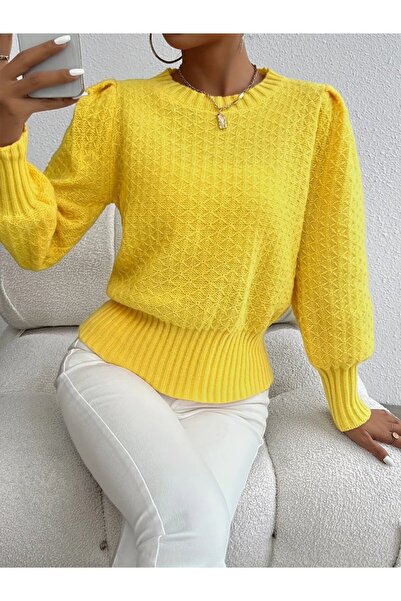 Zerenyus    Women's Long Sleeve Crew Neck Knitwear Blouse