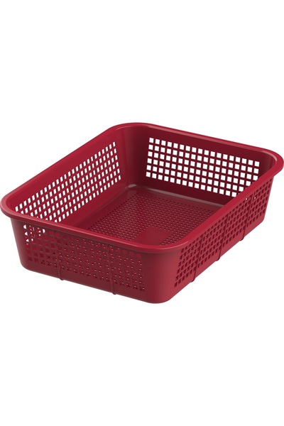 Cosmoplast Fruit Tray, Large, Assorted