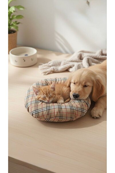 PatiPet Kedi köpek boyunluk Elizabeth yakalık operasyon boyunluk kedi boyun yastığı