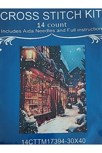 success Kanaviçe Crosstitch Nakış Kiti