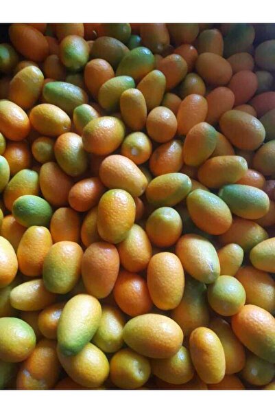 bahcemdenonline KUMKUAT 1 KG