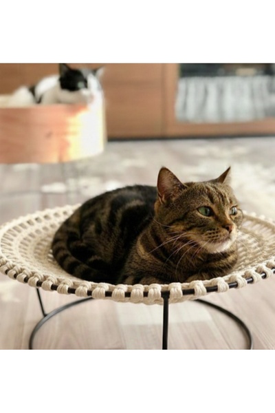 CASA NESTİ Kedi yuvası yatağı salıncağı hamağı hamak salıncak kafesi evi