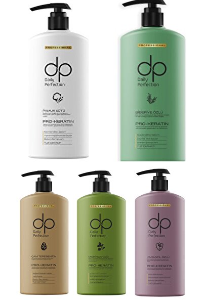 B&R Dp Daily Perfection Shampoo 5X425 ml