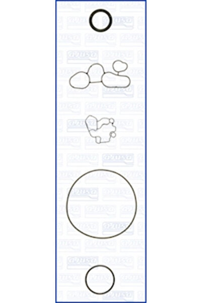 Ajusa Set Garnituri Carter Audi A4 B7 Seat Altea/Leon/Toledo 3