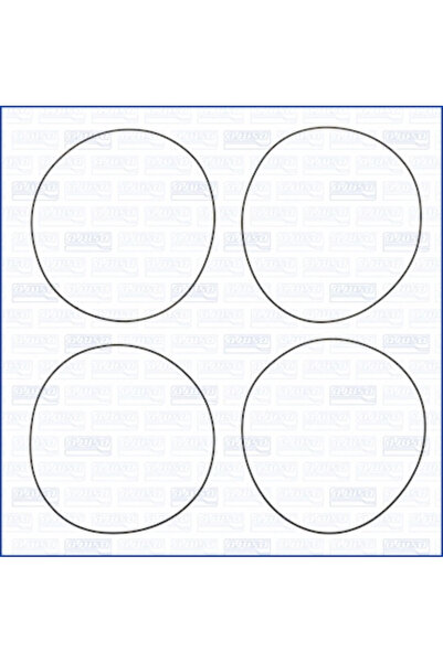 Ajusa Set Garnituri Bucsa Cilindru Citroen C3 1/Saxo Fiat Qubo