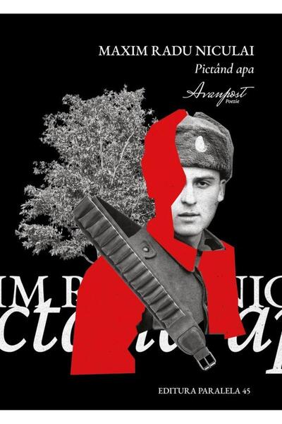 Editura Paralela 45 Painting water, Maxim Radu Niculai