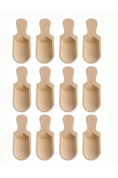 Tasarım Evi 12 Mini Shovel Spice Spoons