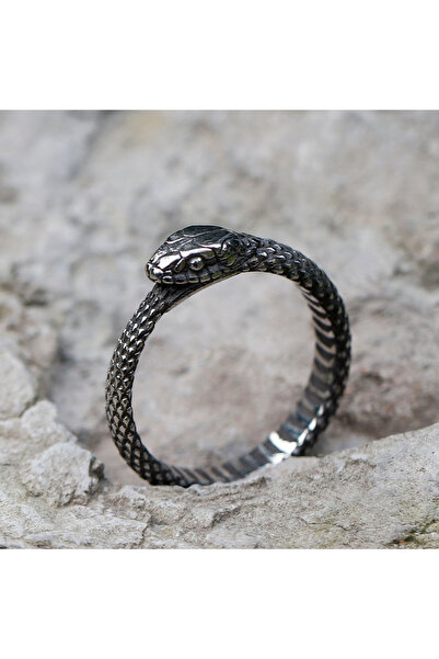 Choice 13 As Shown 2023 NEW Men's 316L stainless-steel rings Viking Snake head animal Amulet RING for teens