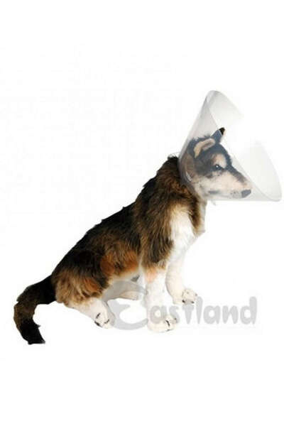 Eastland Sptrns Collar (Elizabet) (223534) 20 cm