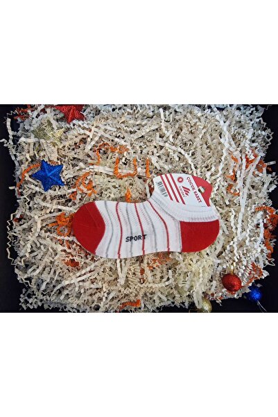 LİA Underwear Single Boy's Socks