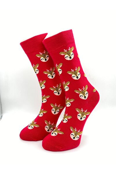 alpaca foot tech 3 pairs of women's socks