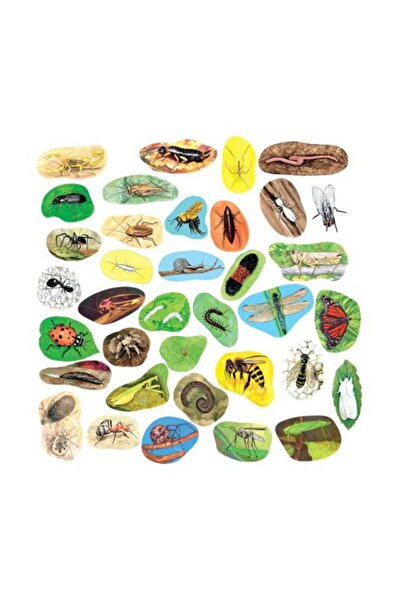 OEMN Set piese viermi si insecte pentru flanelograf