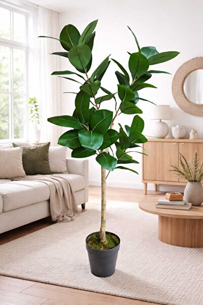 MAKİ DEKOR YAPAY KAUÇUK ISLAK DOKULU 150 CM BOYUNDA DEKORATİF MODERN EV VE OF...