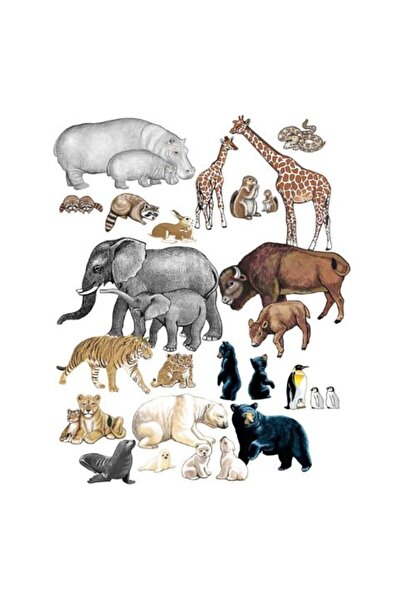 OEMN Set piese animale salbatice pentru flanelograf