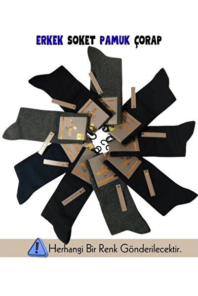 ALFA AKSESUAR 03 Egyptian 60900 Men's Organic Cotton Socks