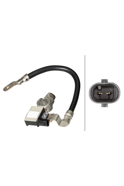 Hella Senzor, Management Baterie Ford Fiesta Vii (hj, Hf) 2017-2023 Benzina