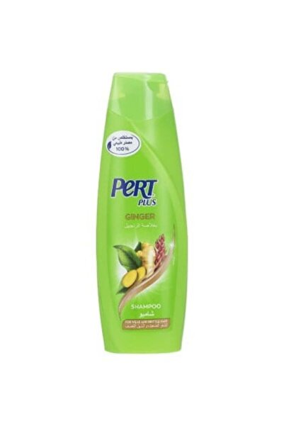 pastell شامبو بيرت بلس - خلاصة الزنجبيل 400 مل