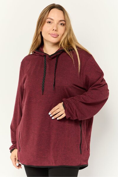 AMERICAN EAGLE Women Heather Long Sleeves Hooded Sweatshirts, Maroon