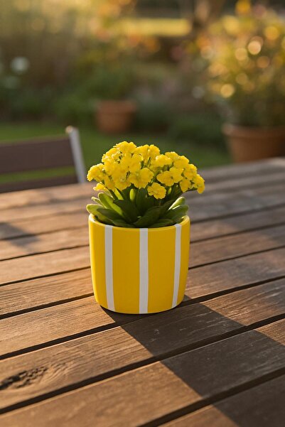 rilind El Yapımı El Boyaması Taş Tozu Sukulent&Kaktüs Saksısı 9 cm